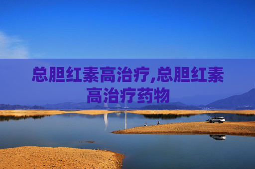 总胆红素高治疗,总胆红素高治疗药物