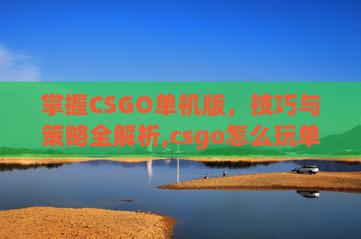 掌握CSGO单机版，技巧与策略全解析,csgo怎么玩单机版