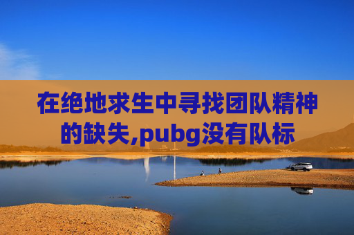 在绝地求生中寻找团队精神的缺失,pubg没有队标