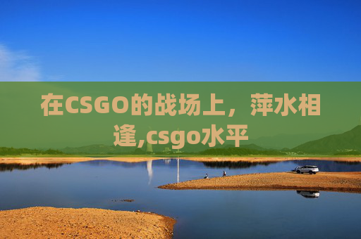 在CSGO的战场上，萍水相逢,csgo水平