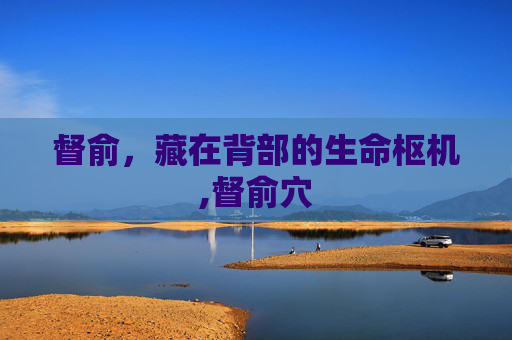 督俞，藏在背部的生命枢机,督俞穴