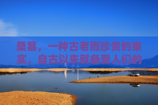 桑葚，一种古老而珍贵的果实，自古以来就备受人们的喜爱。它不仅是一种美味的水果，更具有丰富的营养价值和药用价值。接下来，我将为您介绍桑葚是什么以及它的一些特点。,桑葚是什么季节的水果