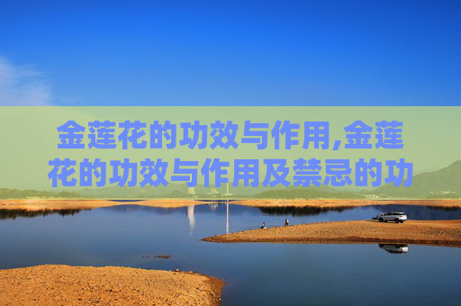 金莲花的功效与作用,金莲花的功效与作用及禁忌的功效与作用