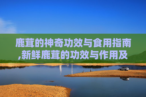 鹿茸的神奇功效与食用指南,新鲜鹿茸的功效与作用及食用方法