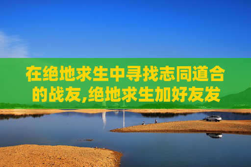 在绝地求生中寻找志同道合的战友,绝地求生加好友发生错误