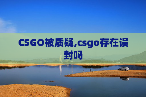 CSGO被质疑,csgo存在误封吗