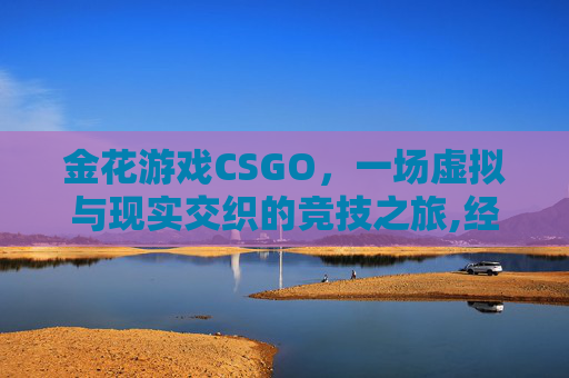 金花游戏CSGO，一场虚拟与现实交织的竞技之旅,经典炸金花游戏