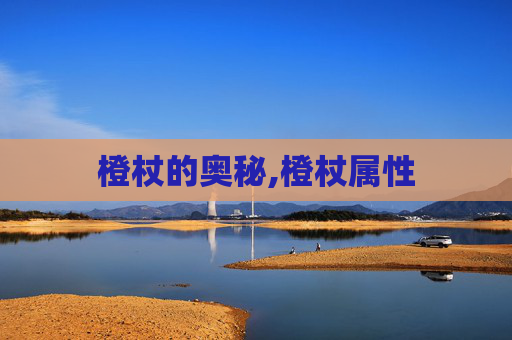 橙杖的奥秘,橙杖属性