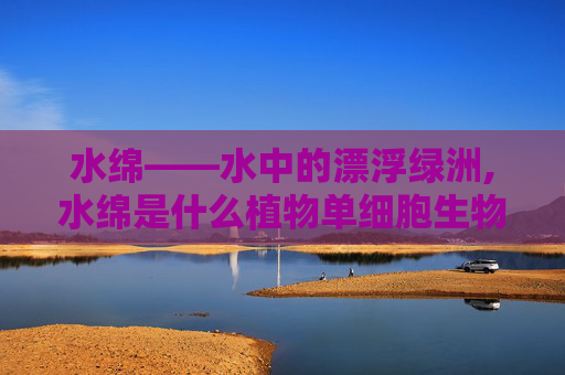 水绵——水中的漂浮绿洲,水绵是什么植物单细胞生物吗