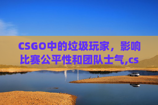 CSGO中的垃圾玩家，影响比赛公平性和团队士气,csgo游戏玩家