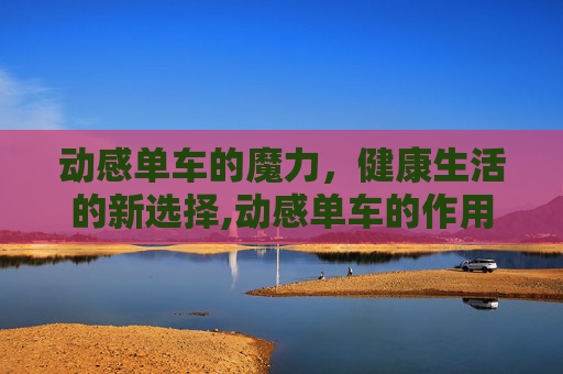 动感单车的魔力，健康生活的新选择,动感单车的作用和好处与坏处