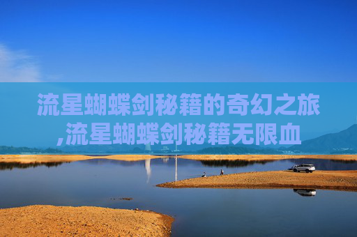 流星蝴蝶剑秘籍的奇幻之旅,流星蝴蝶剑秘籍无限血