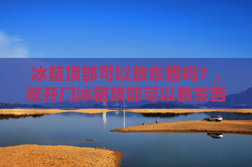 冰箱顶部可以放东西吗？,双开门冰箱顶部可以放东西吗