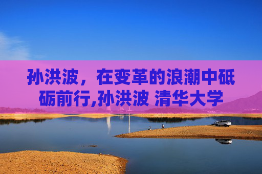 孙洪波，在变革的浪潮中砥砺前行,孙洪波 清华大学