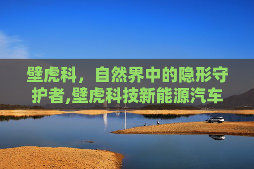 壁虎科，自然界中的隐形守护者,壁虎科技新能源汽车公司