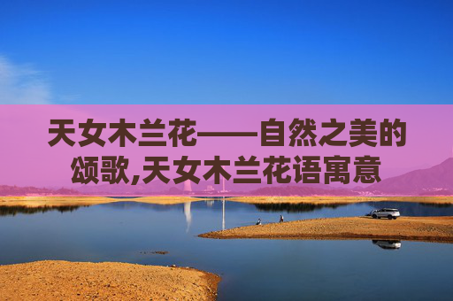 天女木兰花——自然之美的颂歌,天女木兰花语寓意