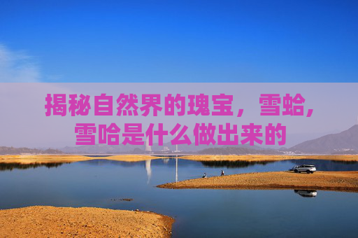 揭秘自然界的瑰宝，雪蛤,雪哈是什么做出来的