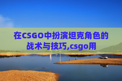 在CSGO中扮演坦克角色的战术与技巧,csgo用