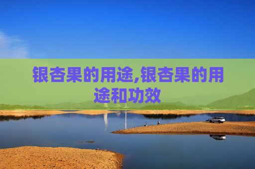 银杏果的用途,银杏果的用途和功效
