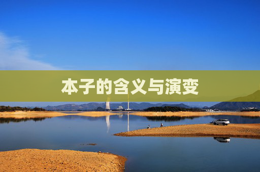 本子的含义与演变