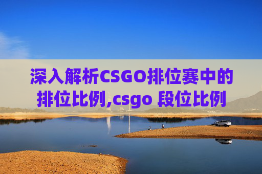 深入解析CSGO排位赛中的排位比例,csgo 段位比例
