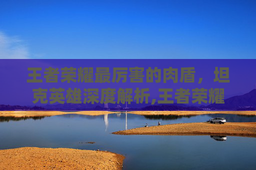 王者荣耀最厉害的肉盾，坦克英雄深度解析,王者荣耀最厉害的肉盾射手