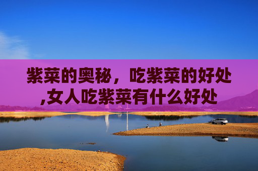 紫菜的奥秘，吃紫菜的好处,女人吃紫菜有什么好处