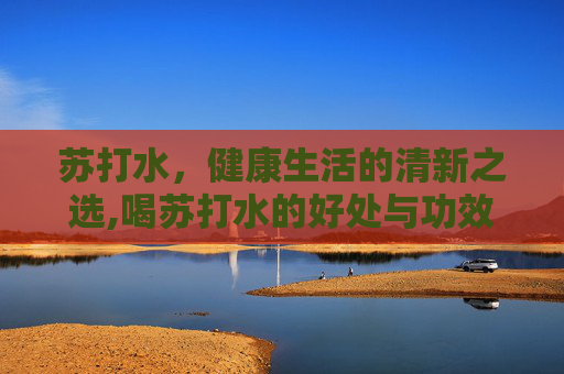 苏打水，健康生活的清新之选,喝苏打水的好处与功效