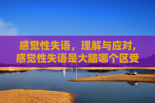 感觉性失语，理解与应对,感觉性失语是大脑哪个区受损