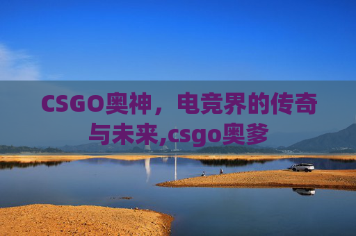 CSGO奥神，电竞界的传奇与未来,csgo奥爹