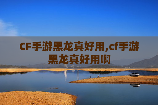 CF手游黑龙真好用,cf手游黑龙真好用啊