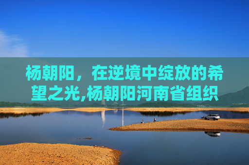 杨朝阳，在逆境中绽放的希望之光,杨朝阳河南省组织部