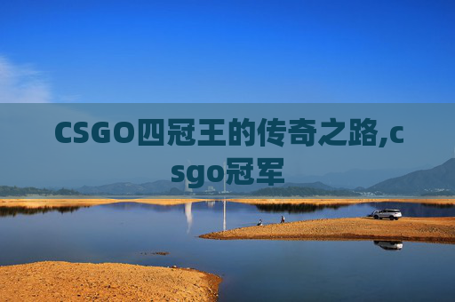 CSGO四冠王的传奇之路,csgo冠军