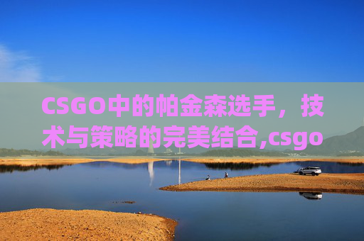 CSGO中的帕金森选手，技术与策略的完美结合,csgo帕沙