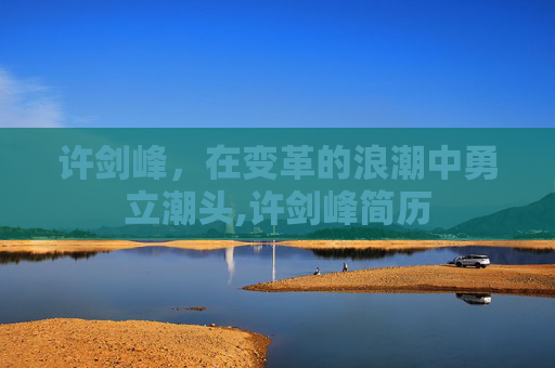 许剑峰，在变革的浪潮中勇立潮头,许剑峰简历