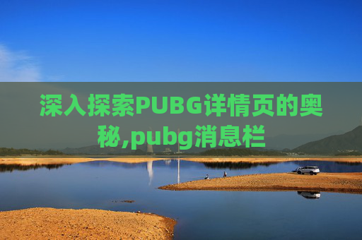 深入探索PUBG详情页的奥秘,pubg消息栏