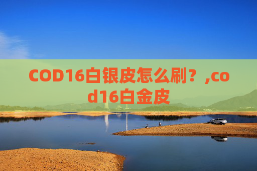 COD16白银皮怎么刷？,cod16白金皮
