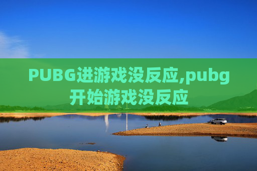 PUBG进游戏没反应,pubg开始游戏没反应