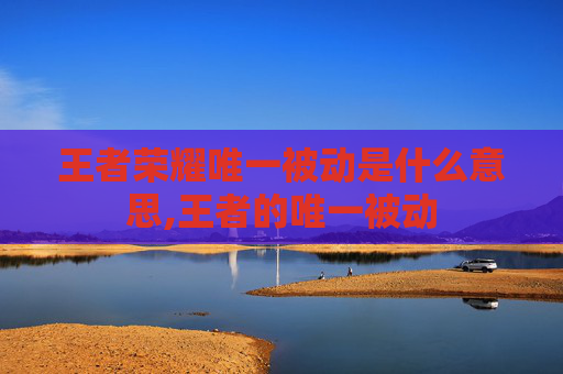 王者荣耀唯一被动是什么意思,王者的唯一被动