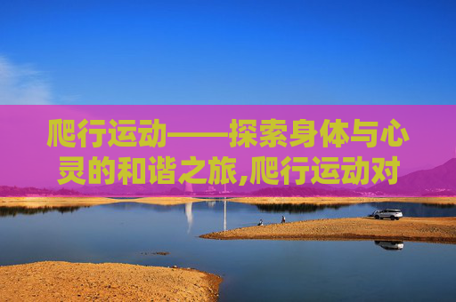 爬行运动——探索身体与心灵的和谐之旅,爬行运动对身体有什么好处和害处