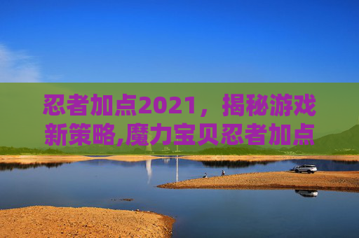 忍者加点2021，揭秘游戏新策略,魔力宝贝忍者加点