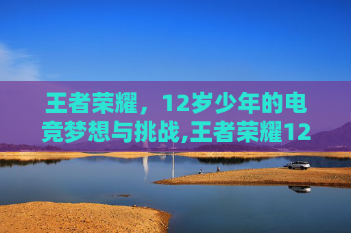 王者荣耀，12岁少年的电竞梦想与挑战,王者荣耀12岁小孩能不能玩