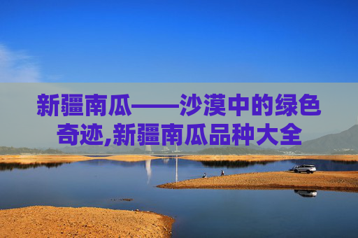 新疆南瓜——沙漠中的绿色奇迹,新疆南瓜品种大全