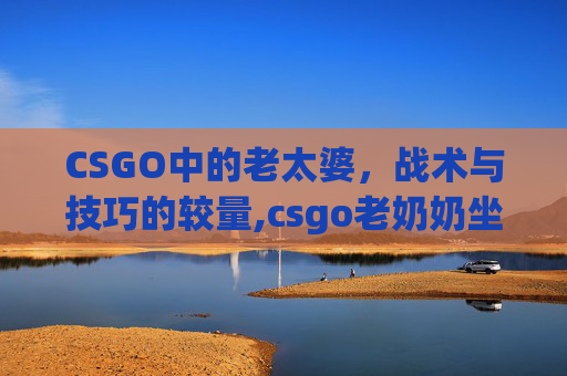 CSGO中的老太婆，战术与技巧的较量,csgo老奶奶坐轮椅