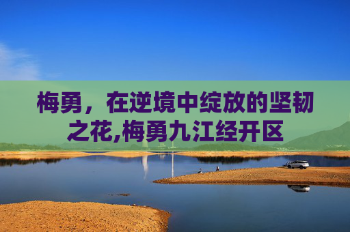 梅勇，在逆境中绽放的坚韧之花,梅勇九江经开区