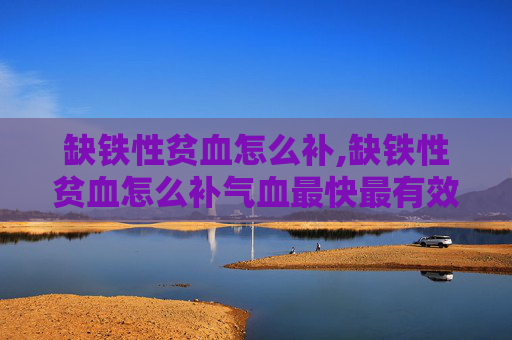 缺铁性贫血怎么补,缺铁性贫血怎么补气血最快最有效