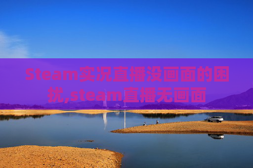 Steam实况直播没画面的困扰,steam直播无画面