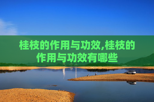 桂枝的作用与功效,桂枝的作用与功效有哪些