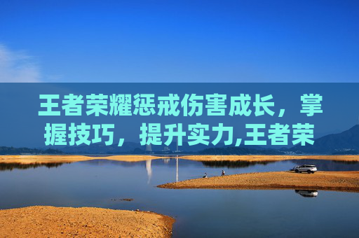 王者荣耀惩戒伤害成长，掌握技巧，提升实力,王者荣耀惩戒伤害成长怎么算