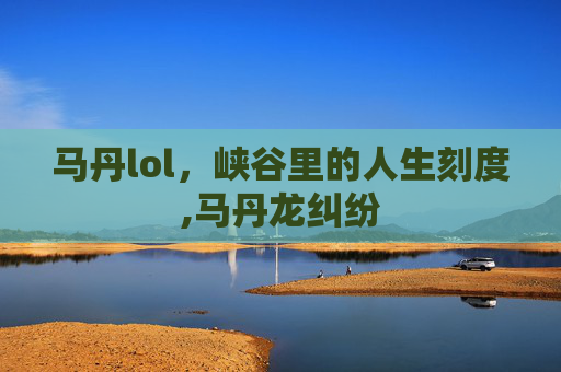 马丹lol，峡谷里的人生刻度,马丹龙纠纷